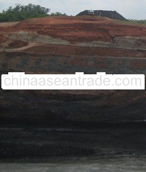  Steam Coal 5600-5800Kcal/Kg