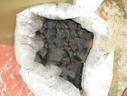 steam coal , coal, import coal, cif , fob, cnf, coal coke