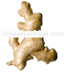 Ginger Products