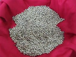 Steam Sterilized White Pepper Whole