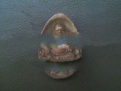 Buddha Happy