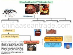 Palm Kernel Expeller