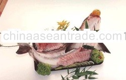 Cobia seafood