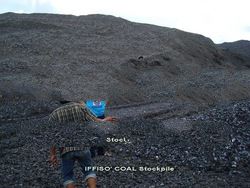 n Steam Coal