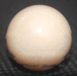 natural pearl from casis cornuta