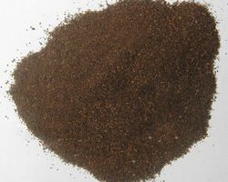 Clove Stem Powder