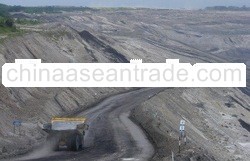 Steam Coal