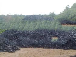 STEAM COAL