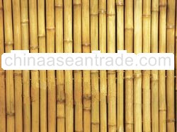 BAMBOO FENCING NATURAL