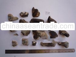 prehistoric stone collection