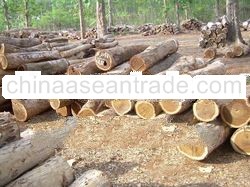 sonokeling logs