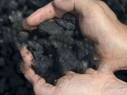 Steam Coal