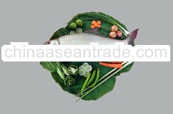 Frozen Fresh Water Fish Product