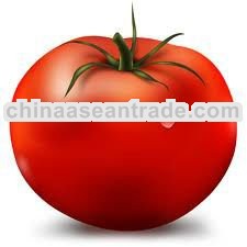 tomato extract powder