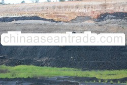 Coal, coal trading and coal terminal