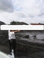Steam coal