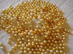 Cultured South Sea Pearl