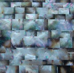 shell tahitian mixed art crafts