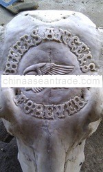 Skull Buffalo writing carving ( FREE SHIPING sea mail)