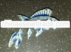 Ceramic Bead Fish in Blue & White