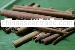 Cinnamon Sticks