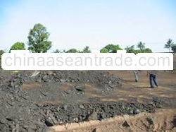 Steam Coal Gvc 5300