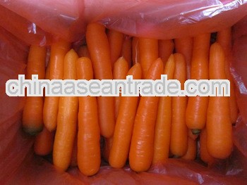 new crop fresh carrot price from Chinese