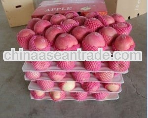 new crop fuji apple with low price