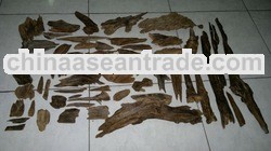 Agarwood_Gaharu