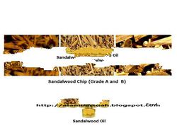 Sandalwood Chip and Sandalwood Oil