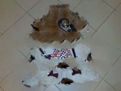 Goat Skin Drawings