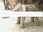 elephant erosion wood