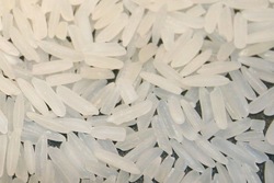 Jasmin rice 25%