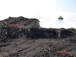 steam coal