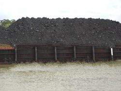 STEAM COAL