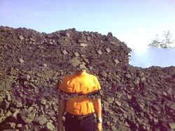 Steam Coal