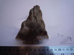 prehistoric stone