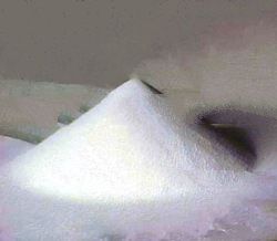 Urea 46% Minimum Prilled / Granular