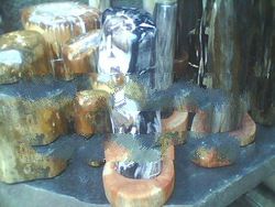 Petrified Wood