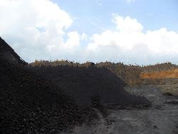 STEAM COAL FROM INDONESIA