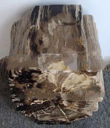 Petrified wood tables