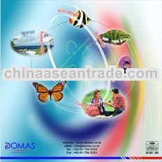 Domas Inova-Pro Progressive Flexi Corridor Lens