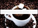 COFFEE OF LIFE - OPEN FOR FRANCHISE!