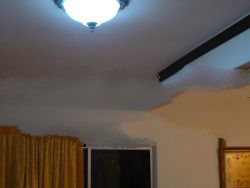 Ceiling Cornice