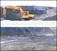 Steam Coal From 