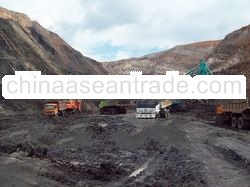 steam coal