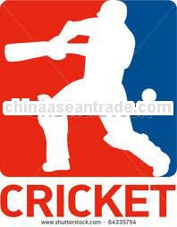 professional specialized cricket logo design