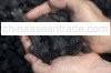 Steam Coal