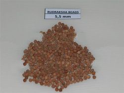 RUDRAKSHA BEADS