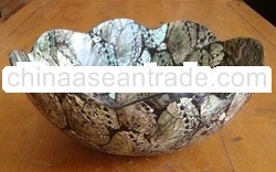 shell abalone bowl
